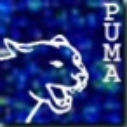 NGPuma's avatar