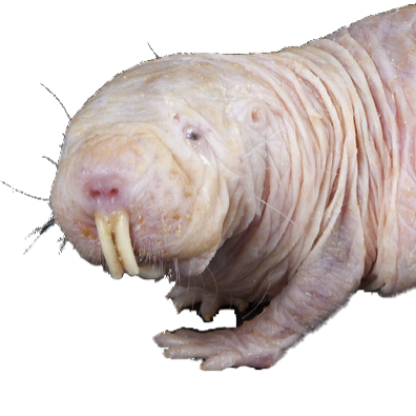 Smeaton51's avatar