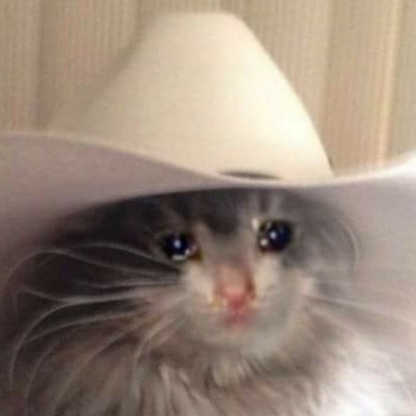 elTioTom123's avatar