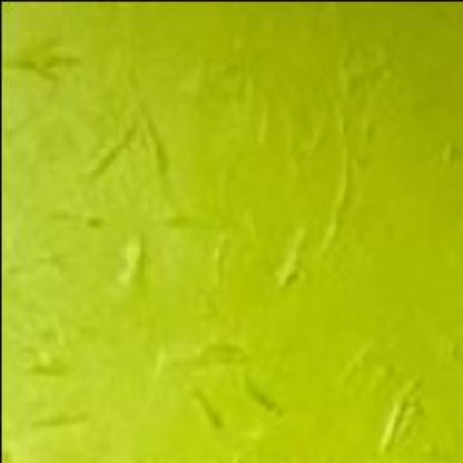 Garlic_Mayoo's avatar