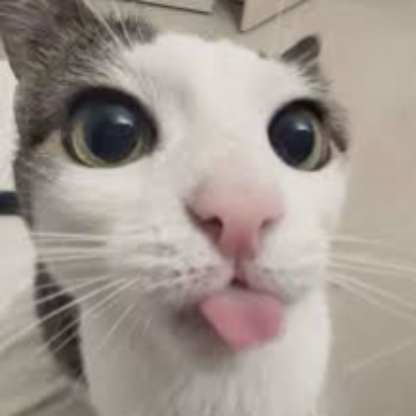SchulPlays's avatar