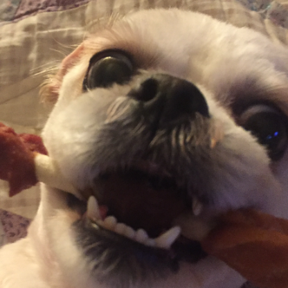 XxChaoticalxX's avatar