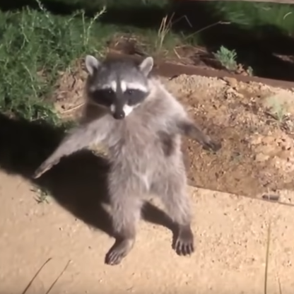 Stamina1337's avatar