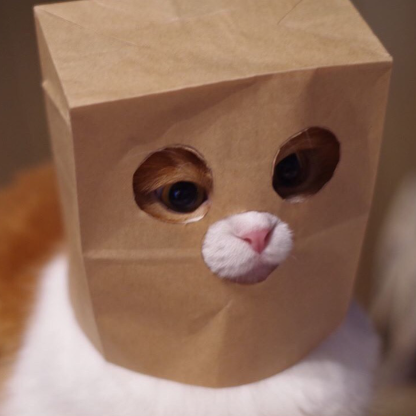 MecPlusUltra's avatar