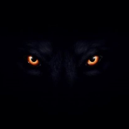 344c611aa14589d4's avatar