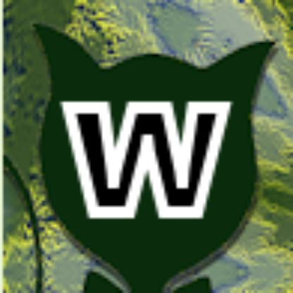 Wacamp's avatar