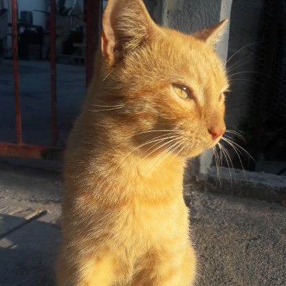 sMGzuz_5l3ahqre's avatar