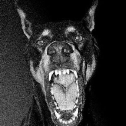 lordprettyshabba's avatar