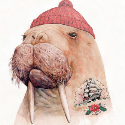 woalrus's avatar