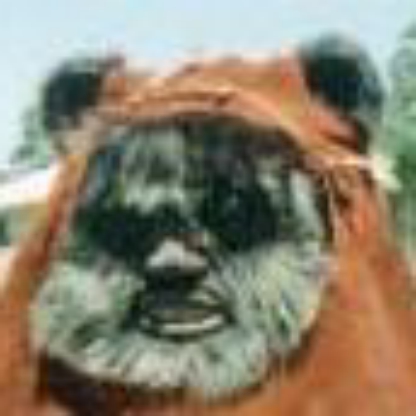 Ewok's avatar