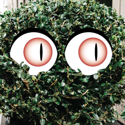 Bushwookie27884's avatar