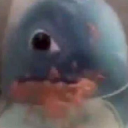 PataMafiosa's avatar