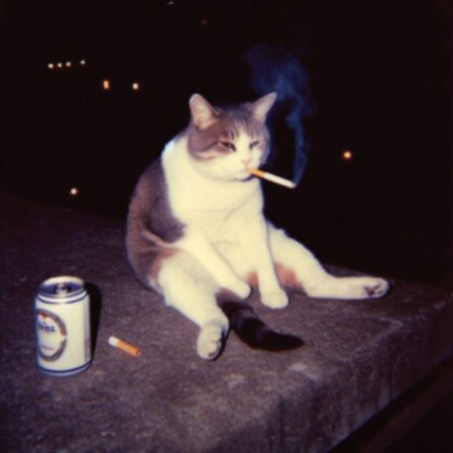 michael109431's avatar