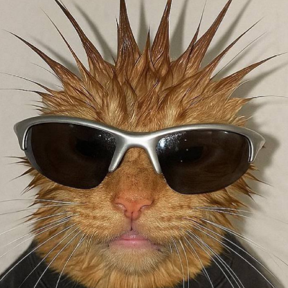 Flaurosix's avatar