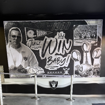 Raidernation873's avatar