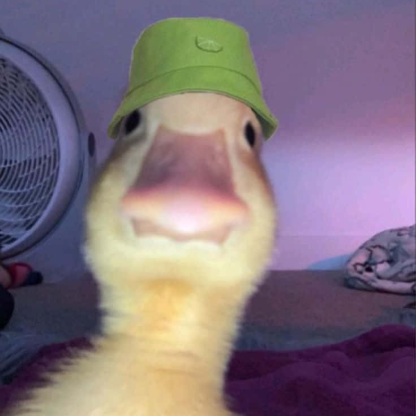 deepfryer14's avatar