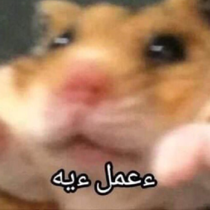 Salsaoo1's avatar