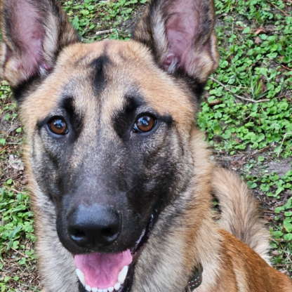 kennyhodge1972's avatar