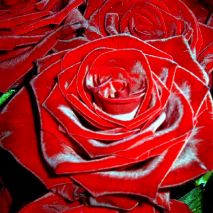 Grandpa_1964_04's avatar