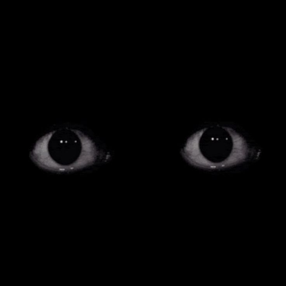 Su0xX's avatar