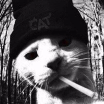 ZAKM888's avatar
