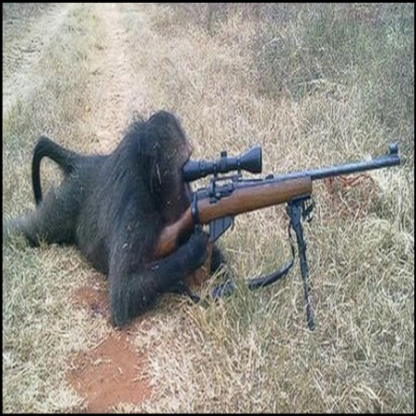 Galinacio_RYN's avatar