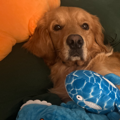 BeetleClassic's avatar