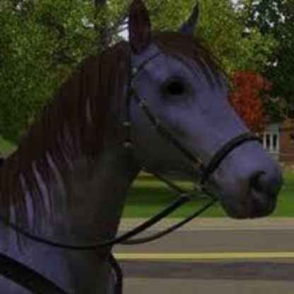 LaDomiPokeSimmer's avatar