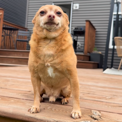 PacoErGasolinero's avatar