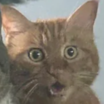 TheBassProShop's avatar