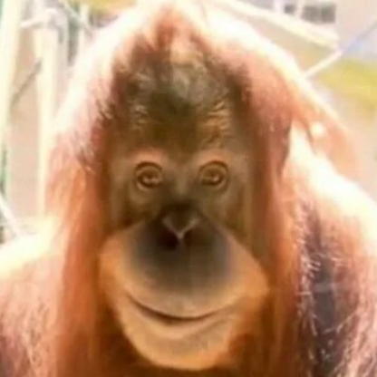 LiverpoolCOOL505's avatar