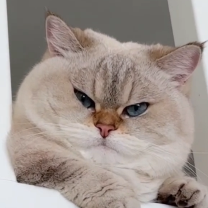 Batrick_Najm's avatar