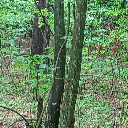 Eldin_r_990's avatar