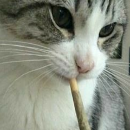 Leeooo24's avatar