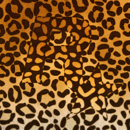 LeopardPrinted's avatar