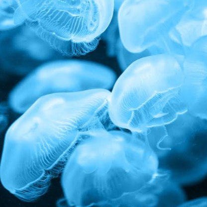 SuperManda94's avatar