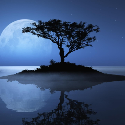 radiancexox's avatar