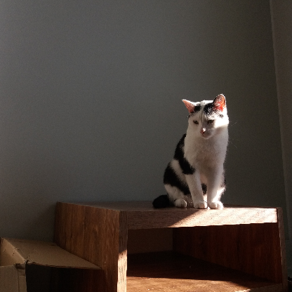 tuubatiina's avatar