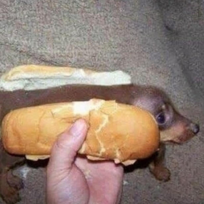 moistestmeat's avatar