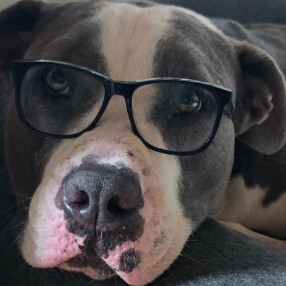 Bullystaff65's avatar