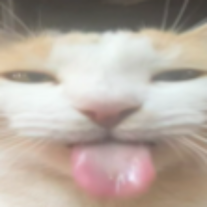 Habsburger55's avatar