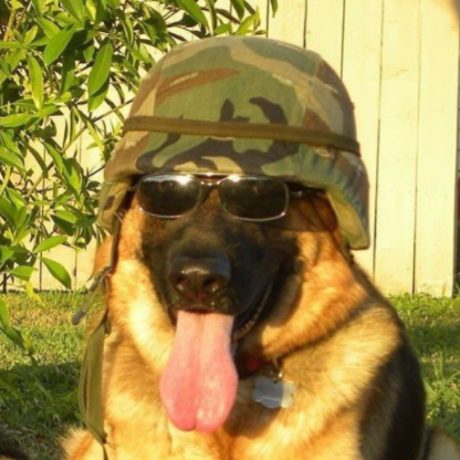 daddylyonya's avatar