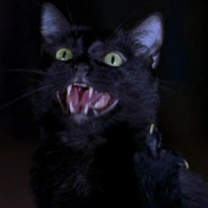 GiberkoTheGod's avatar