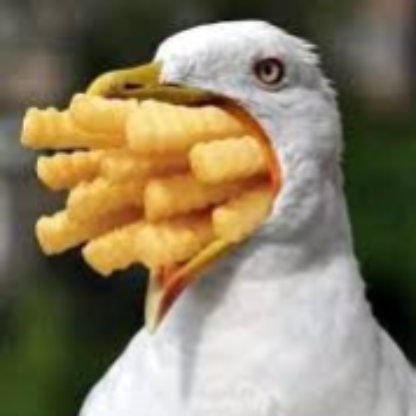 ChicknParmyArmy's avatar