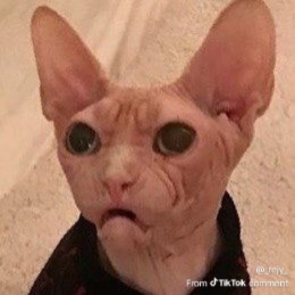 MetalMorning's avatar