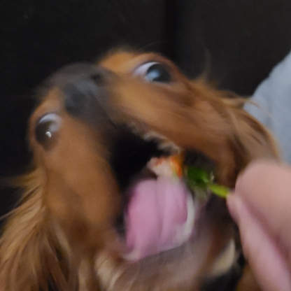 Bulletstopper919's avatar