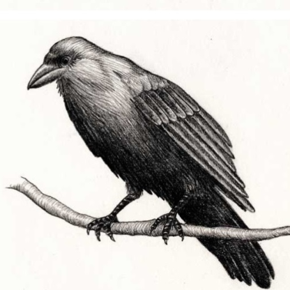 RavenAkaStL's avatar