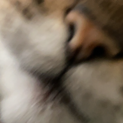 Swag_Lazer_Og's avatar