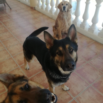 r4hvqt23hlqi's avatar