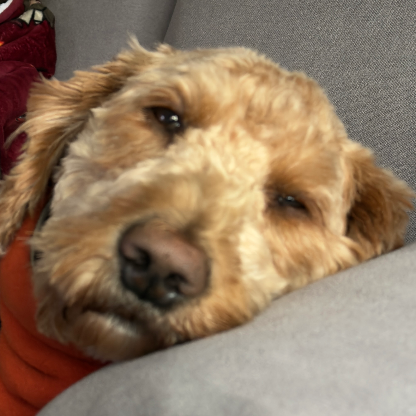 DoodleDad_1878's avatar